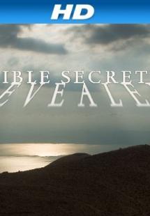 Bible Secrets Revealed (2013)
