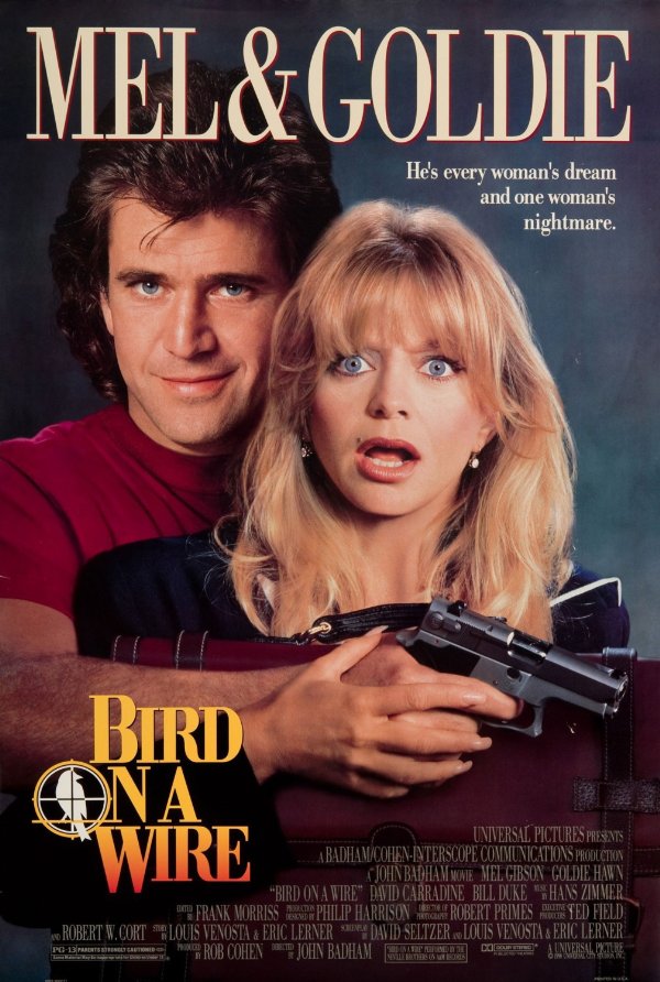 Bird on a Wire (1990) Bird on a Wire (1990)