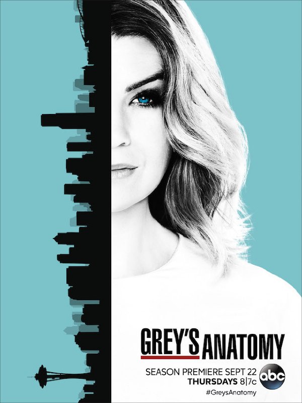Grey's Anatomy - Season 13 (2016)
