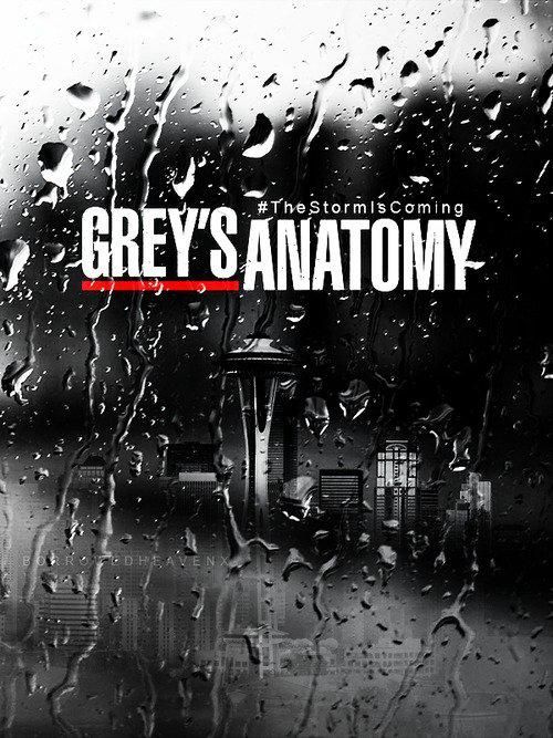 Grey's Anatomy - Season 7 (2010) Grey's Anatomy - Season 7 (2010)