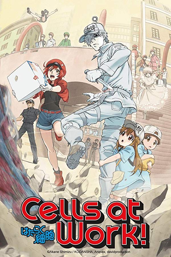 Cells at Work! - Season 1 (2018)