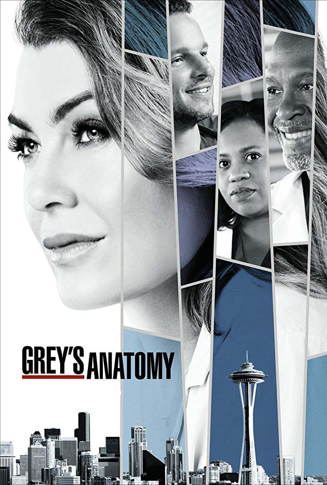 Grey's Anatomy - Season 14 (2017) Grey's Anatomy - Season 14 (2017)