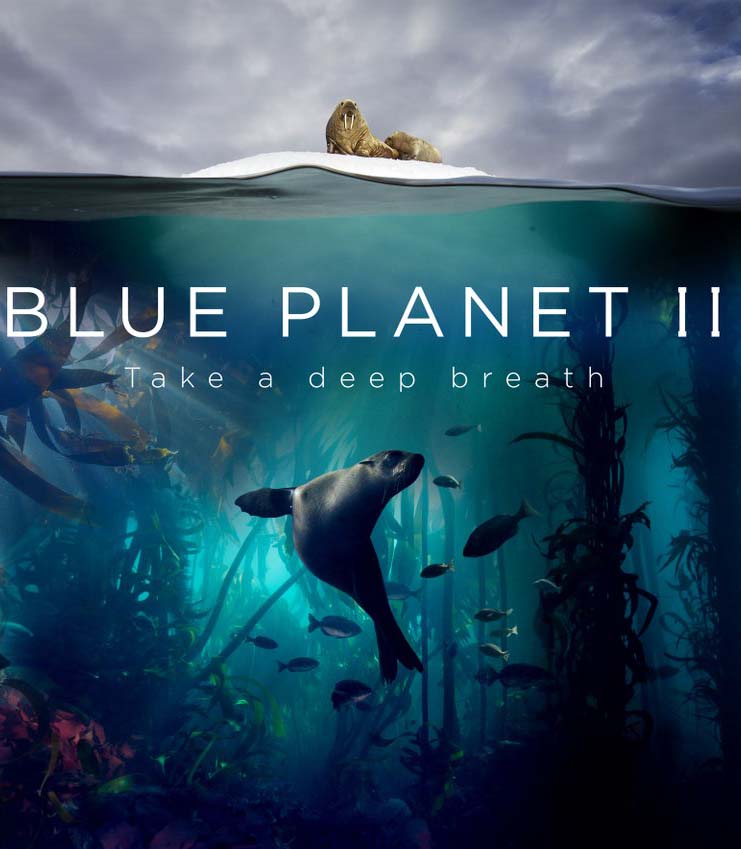 blue planet ii watch online