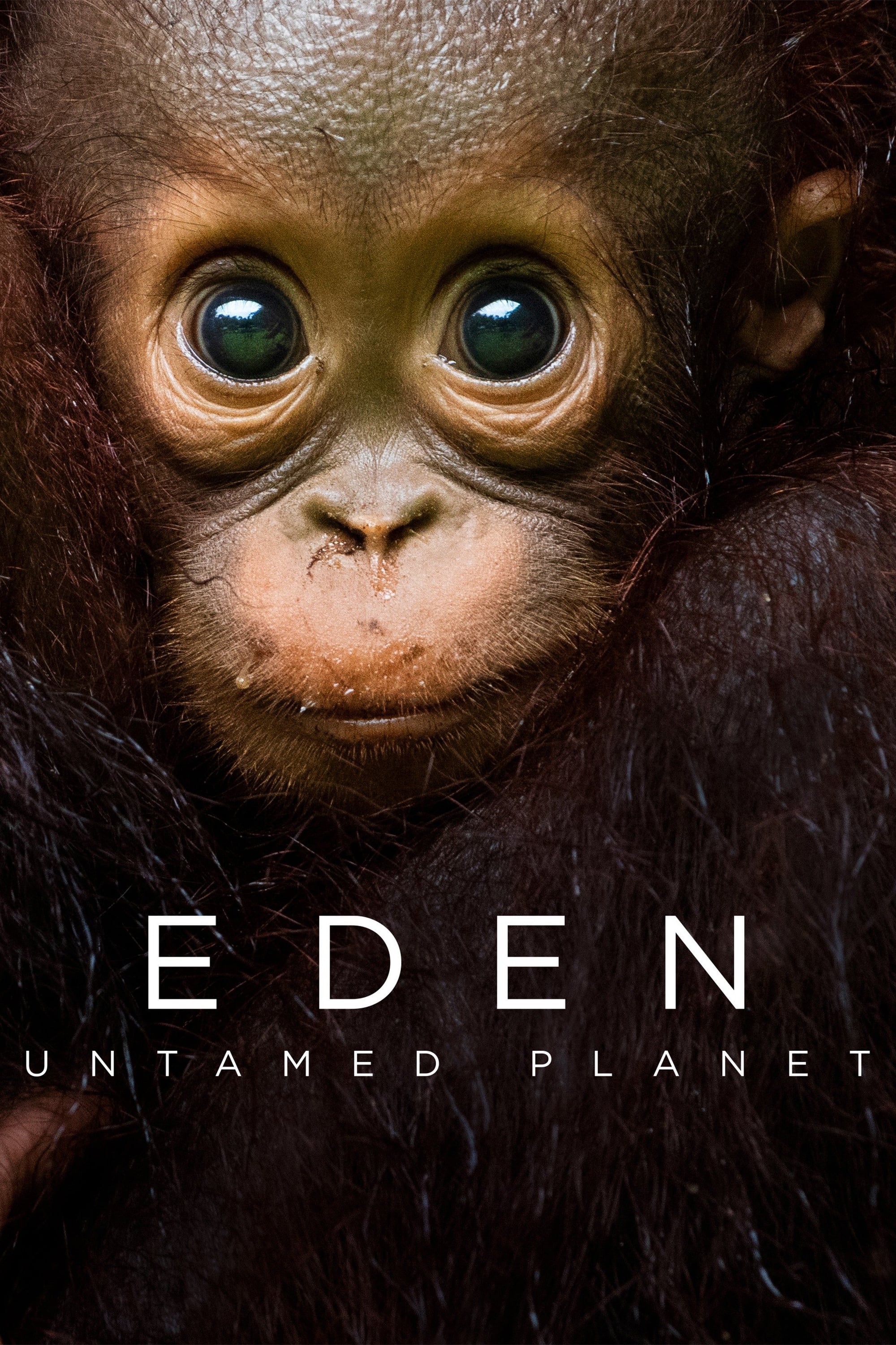 Eden: Untamed Planet - Season 1 (2021)