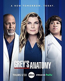 Grey's Anatomy - Season 18 (2021)